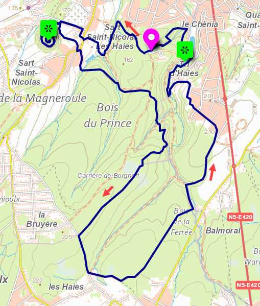 Carte IGN